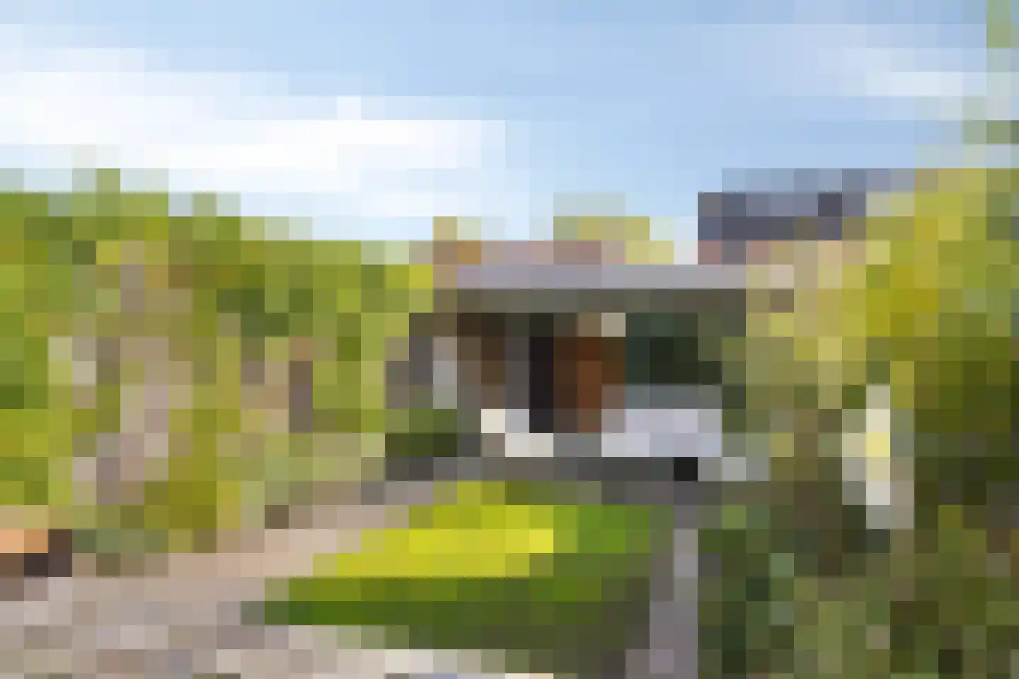 Gerard Terborchstraat 17 A Veenendaal thumbnail 29