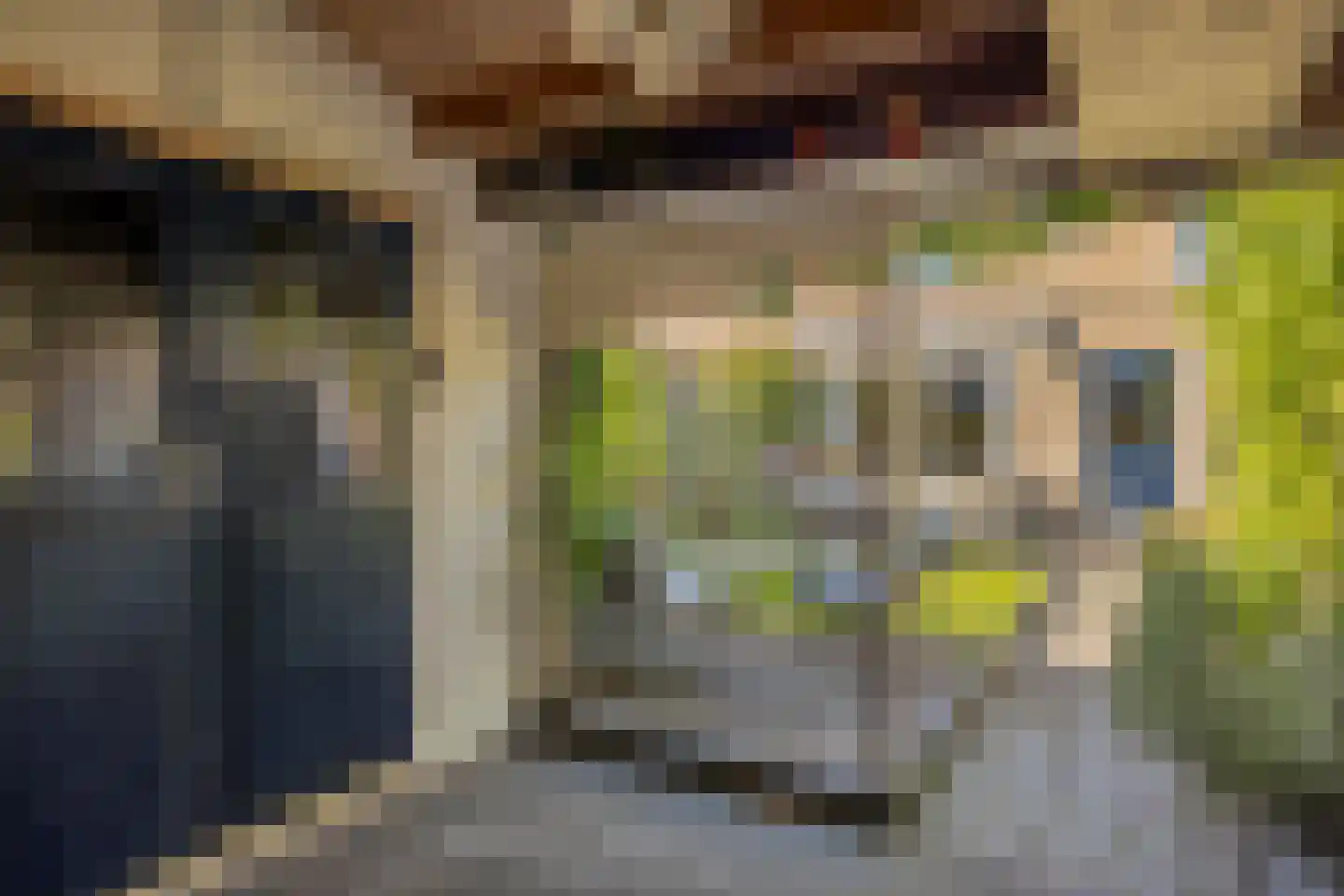 Gerard Terborchstraat 17 A Veenendaal thumbnail 31