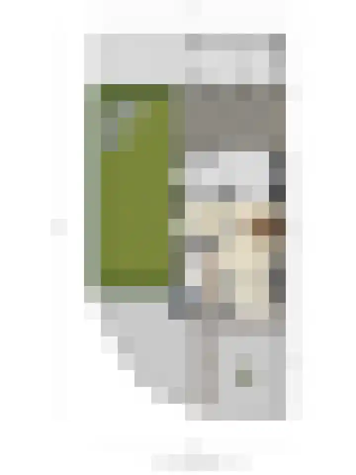 Gerard Terborchstraat 2 Boxmeer thumbnail 30