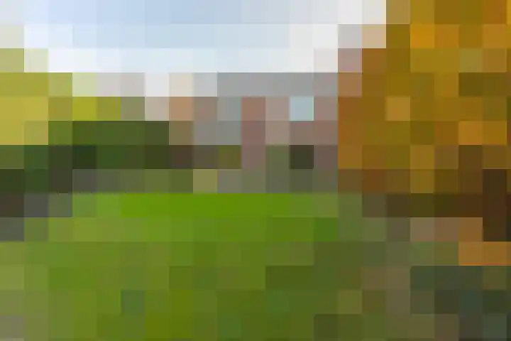 Gerard Terborchstraat 3 Kerkrade thumbnail 26