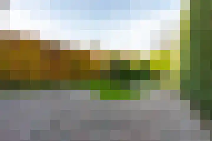 Gerard Terborchstraat 3 Kerkrade thumbnail 27
