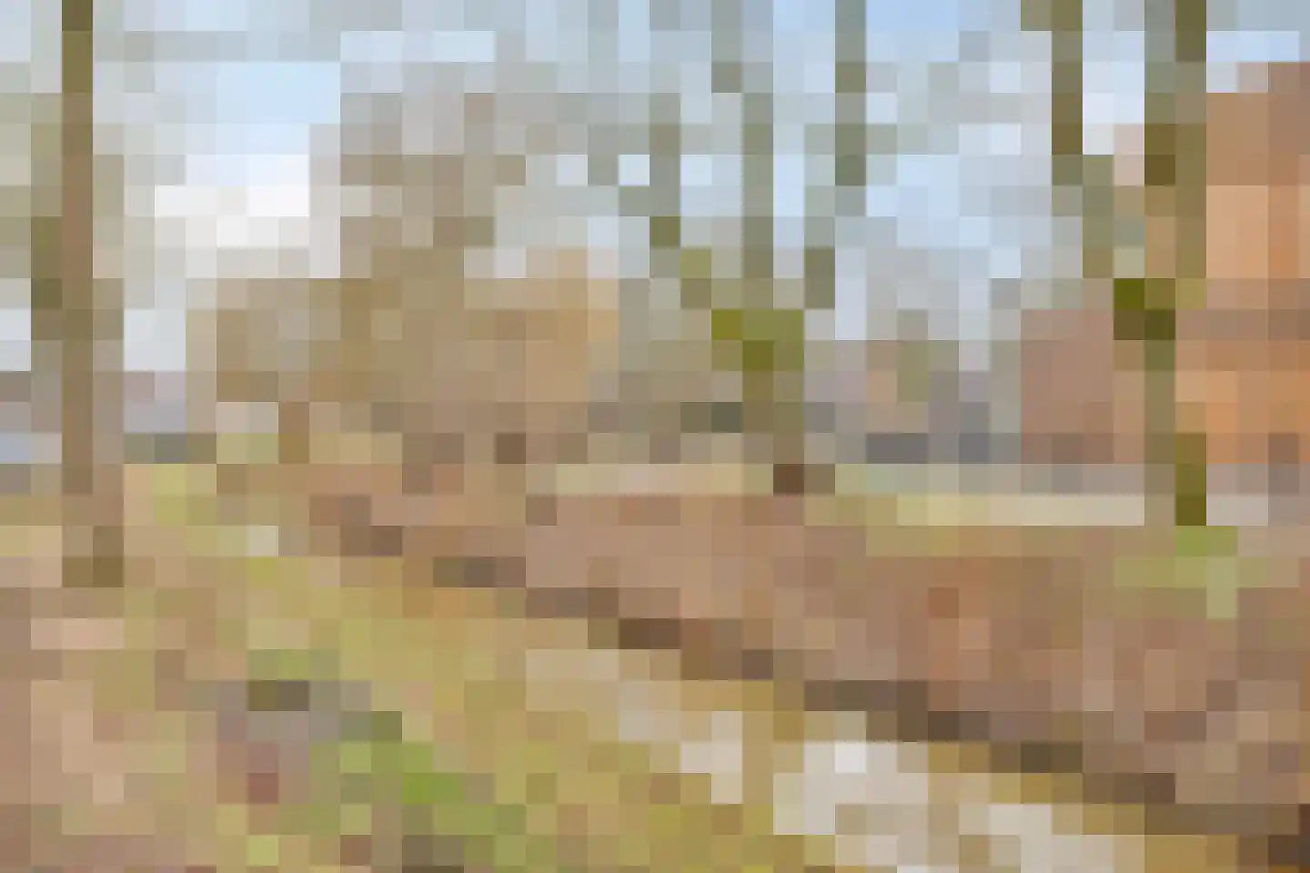 Gerard Terborghstraat 10 Haaksbergen thumbnail 36