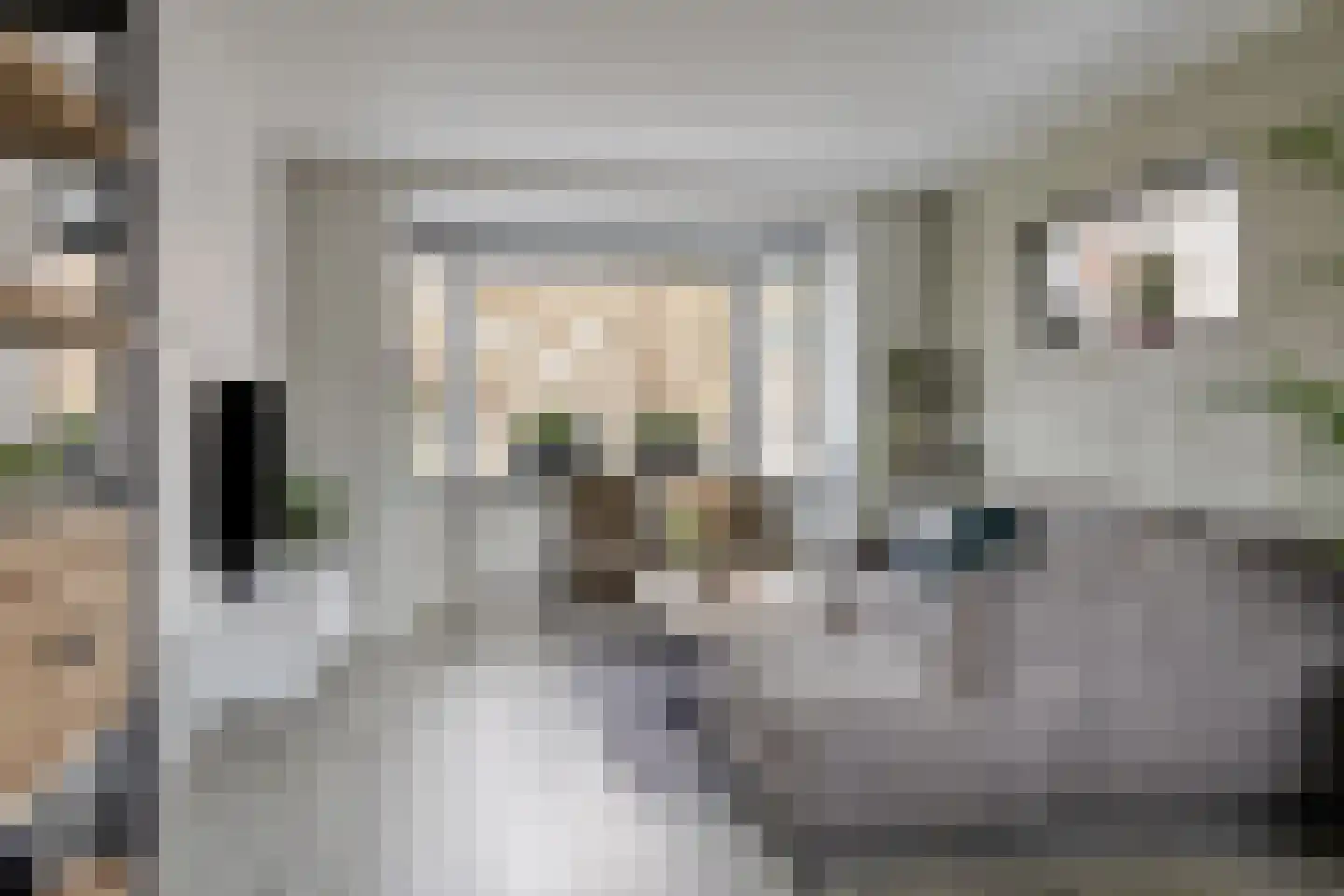 Gerard Terborghstraat 10 Haaksbergen thumbnail 7