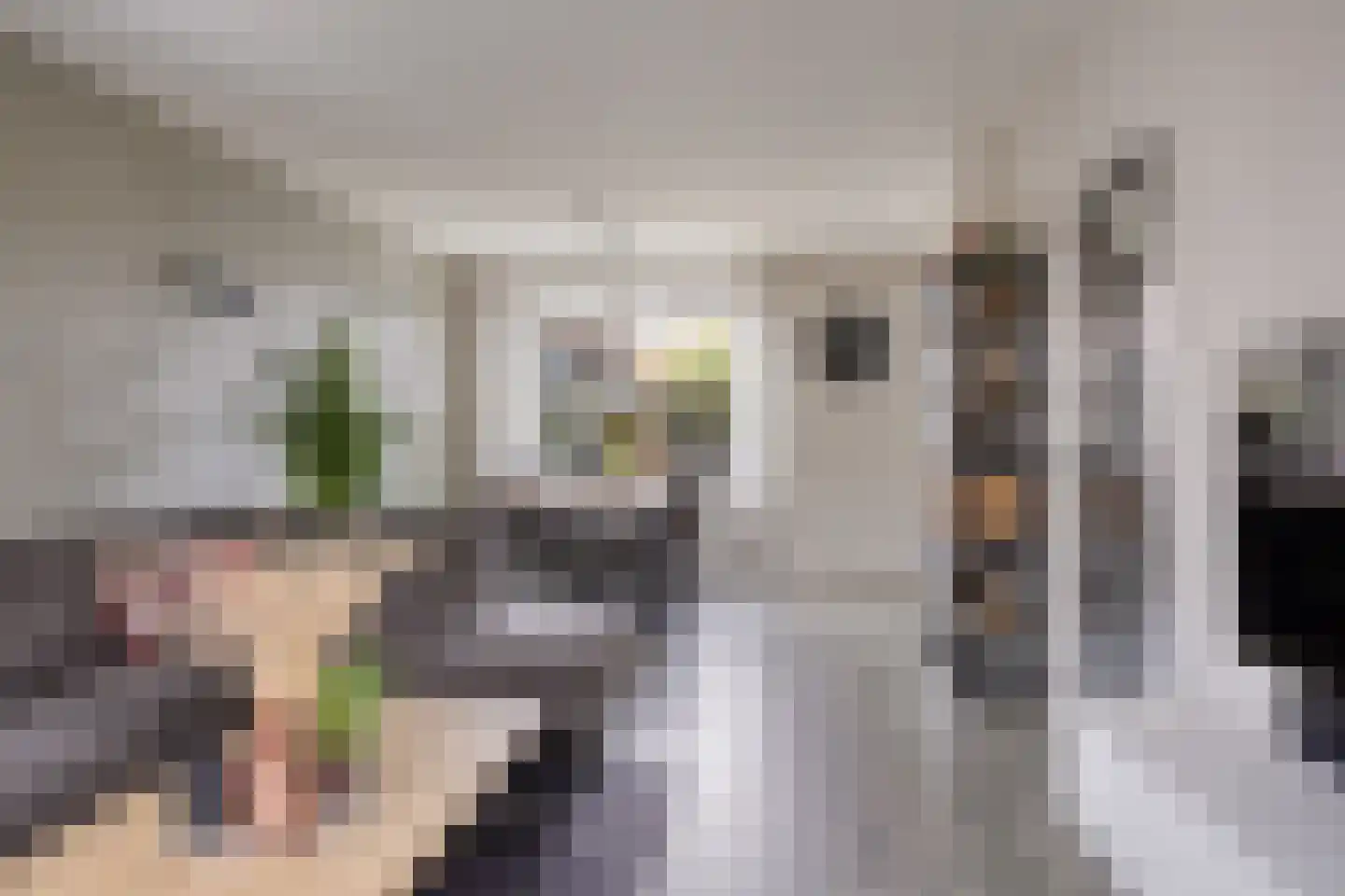Gerard Terborghstraat 10 Haaksbergen thumbnail 8