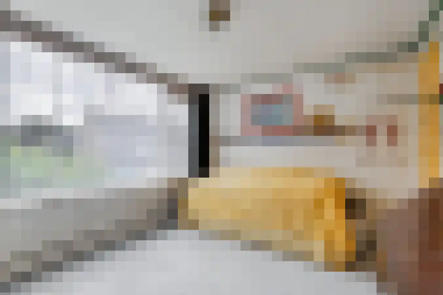 Gerard Terborghstraat 11 Ridderkerk thumbnail 14
