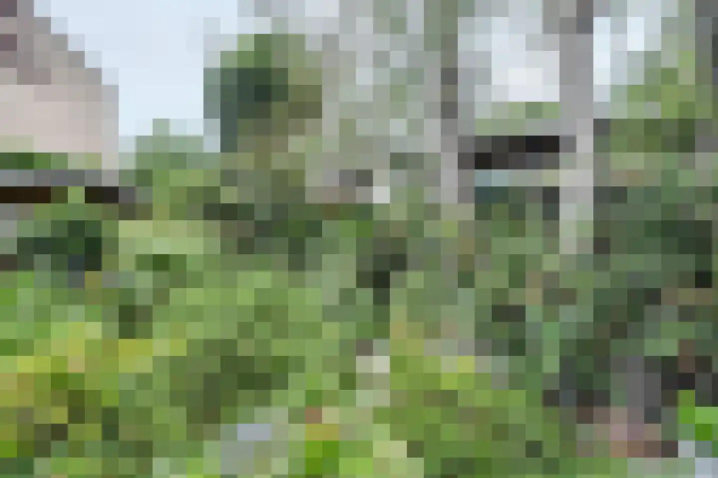Gerard Terborghstraat 11 Ridderkerk thumbnail 30