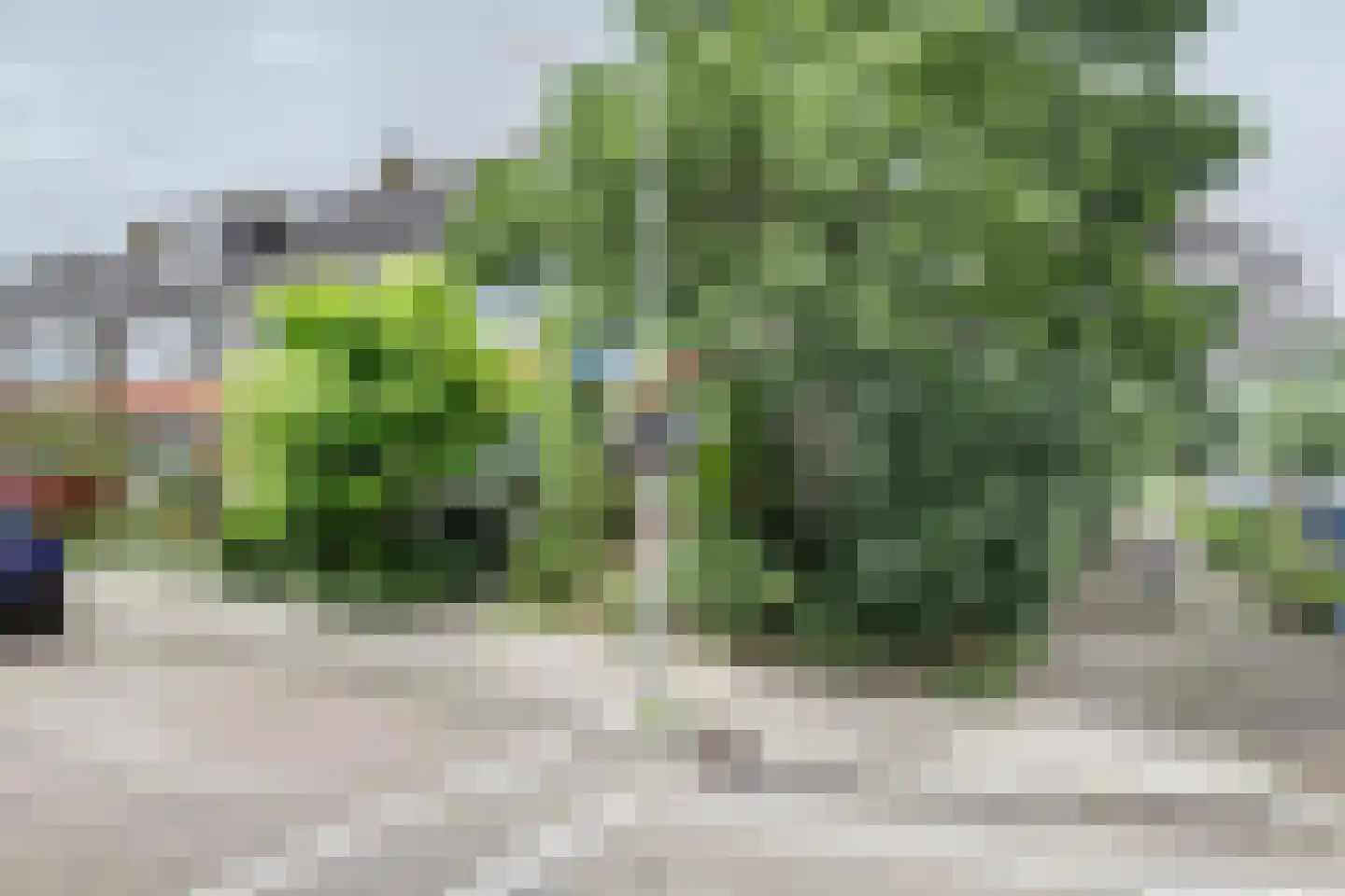 Gerard Terborghstraat 11 Ridderkerk thumbnail 35