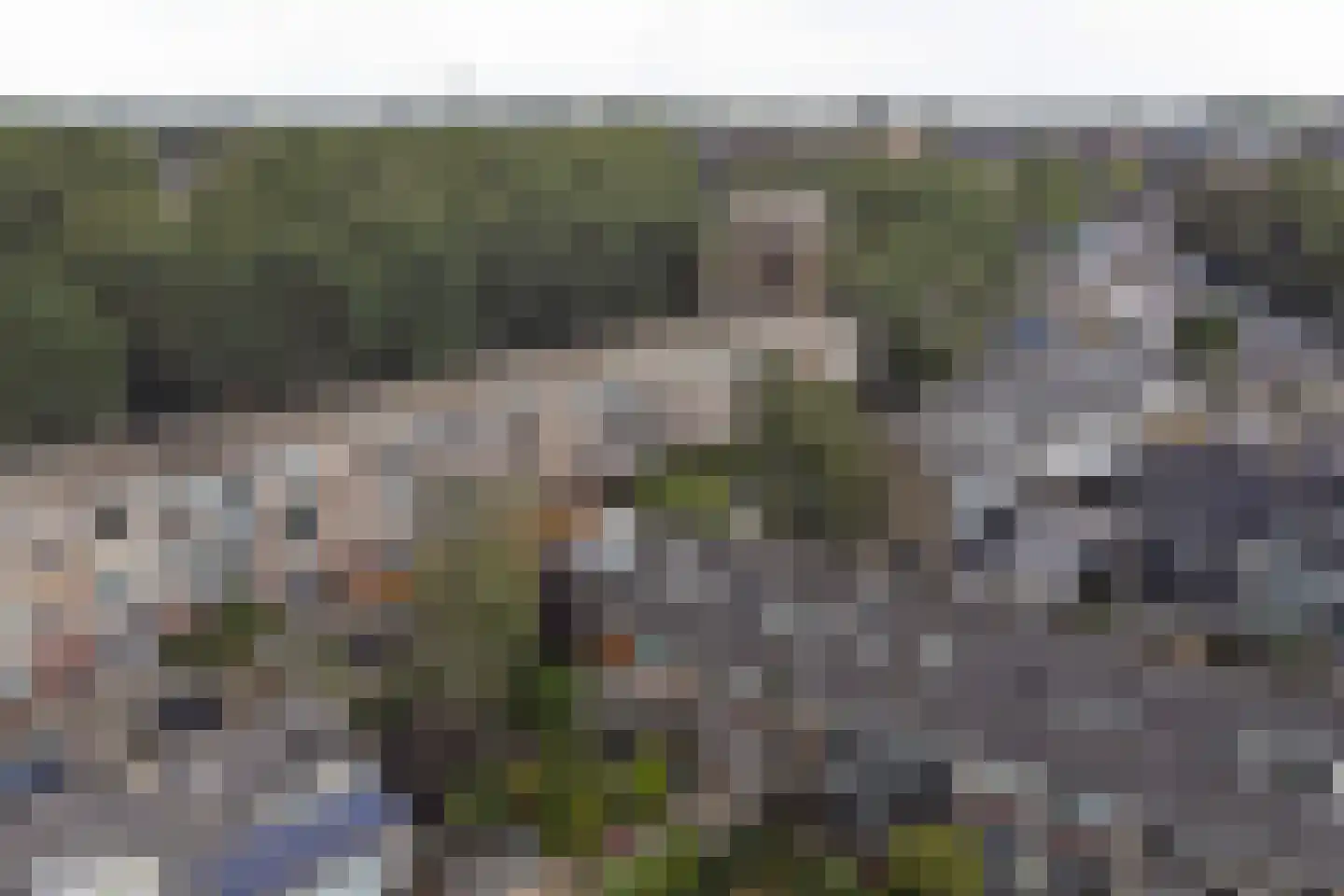 Gerard Terborghstraat 11 Ridderkerk thumbnail 42