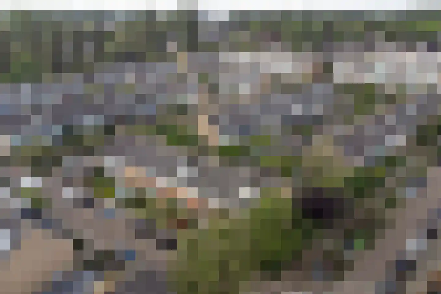 Gerard Terborghstraat 11 Ridderkerk thumbnail 44