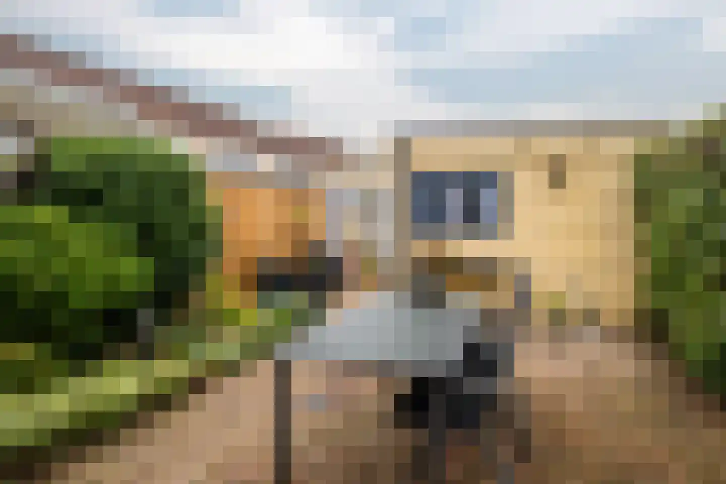 Gerard Terborghstraat 62 Enschede thumbnail 31