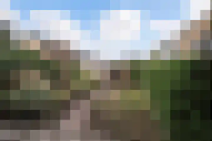 Gerard Terborghstraat 7 Ridderkerk thumbnail 4