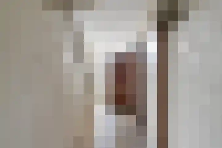 Gerard Terborghstraat 7 Ridderkerk thumbnail 6