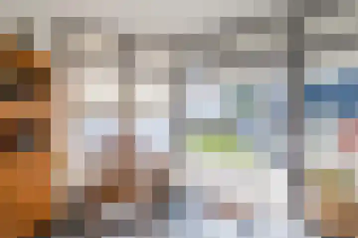 Gerard van Damstraat 2 't Zandt thumbnail 15