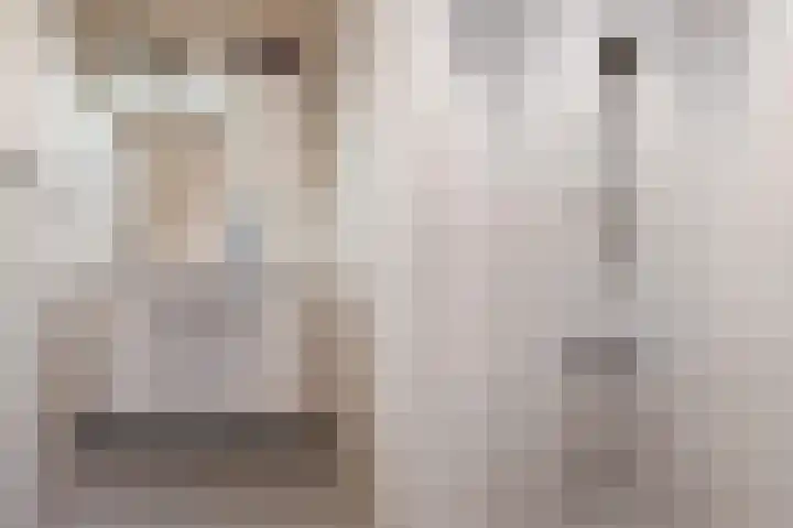 Gerard van Damstraat 2 't Zandt thumbnail 20