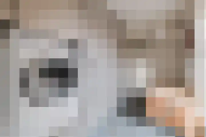Gerard van Damstraat 2 't Zandt thumbnail 24
