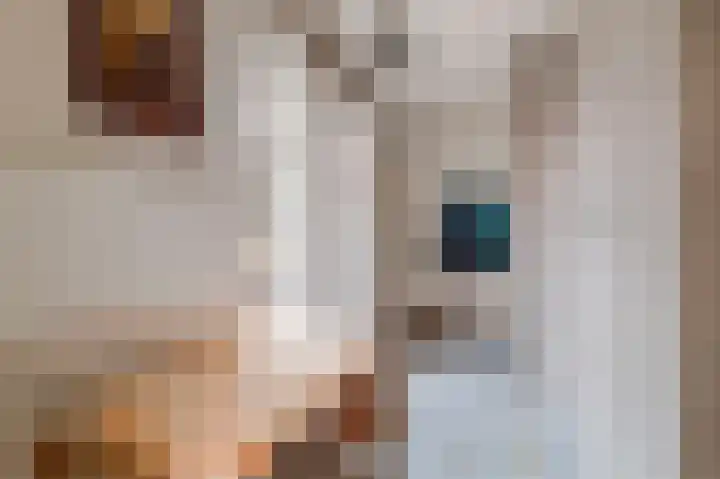 Gerard van Damstraat 2 't Zandt thumbnail 25
