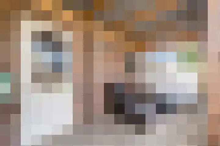 Gerard van Damstraat 2 't Zandt thumbnail 28