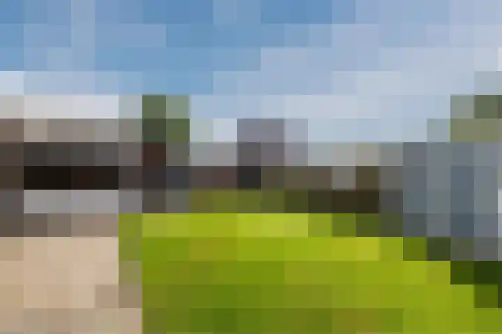 Gerard van Damstraat 2 't Zandt thumbnail 31