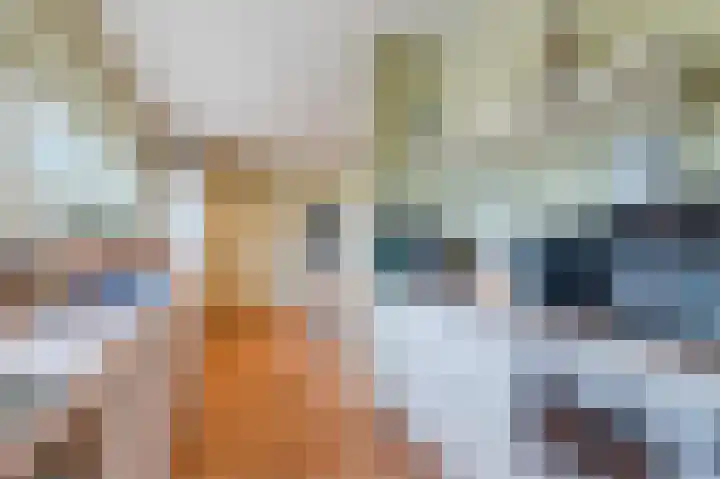 Gerard van Damstraat 2 't Zandt thumbnail 9