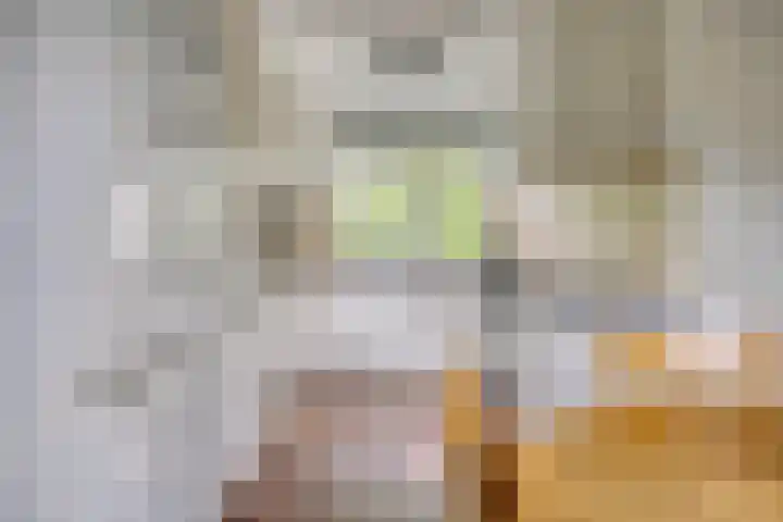 Gerard van der Lindenstraat 14 Oisterwijk thumbnail 11