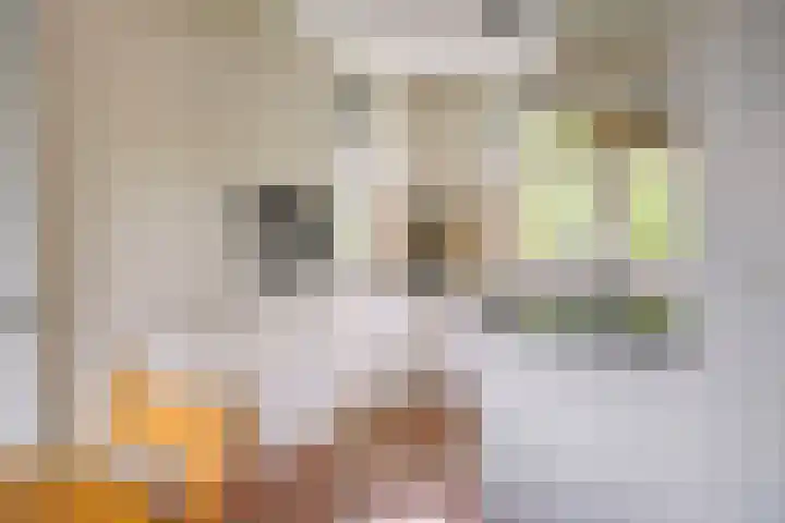 Gerard van der Lindenstraat 14 Oisterwijk thumbnail 12