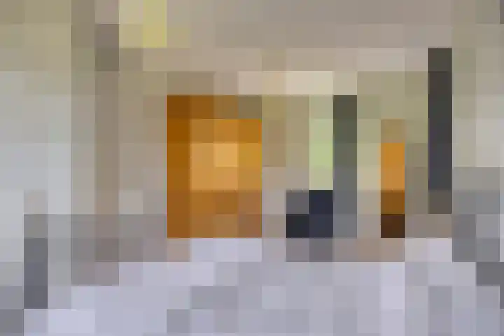 Gerard van der Lindenstraat 14 Oisterwijk thumbnail 16