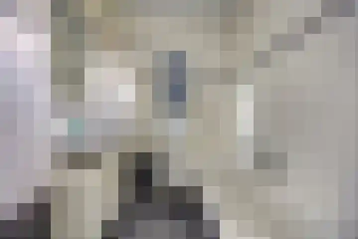 Gerard van der Lindenstraat 14 Oisterwijk thumbnail 17