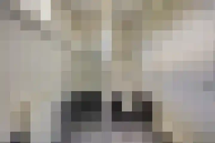 Gerard van der Lindenstraat 14 Oisterwijk thumbnail 18