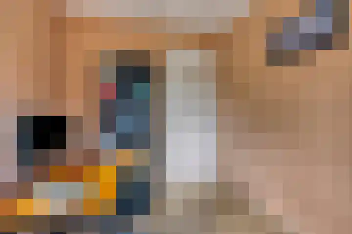 Gerard van der Lindenstraat 14 Oisterwijk thumbnail 23