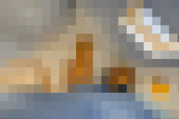 Gerard van der Lindenstraat 14 Oisterwijk thumbnail 24