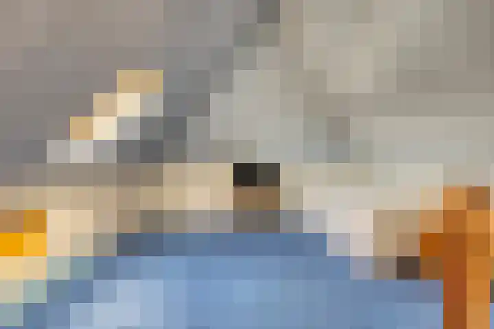 Gerard van der Lindenstraat 14 Oisterwijk thumbnail 25