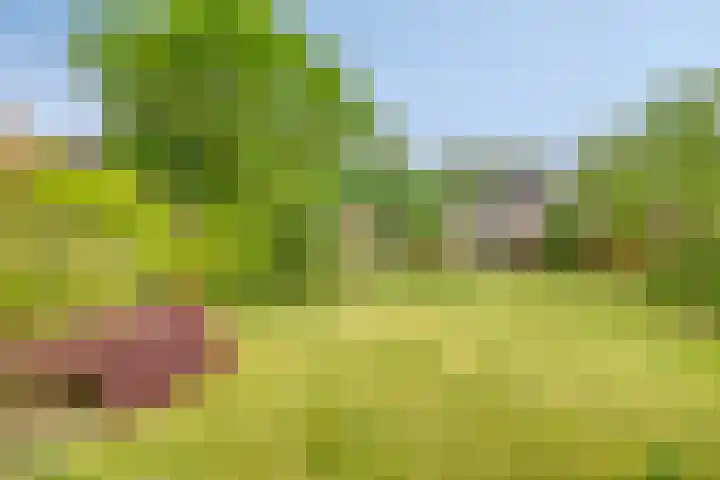 Gerard van der Lindenstraat 14 Oisterwijk thumbnail 26
