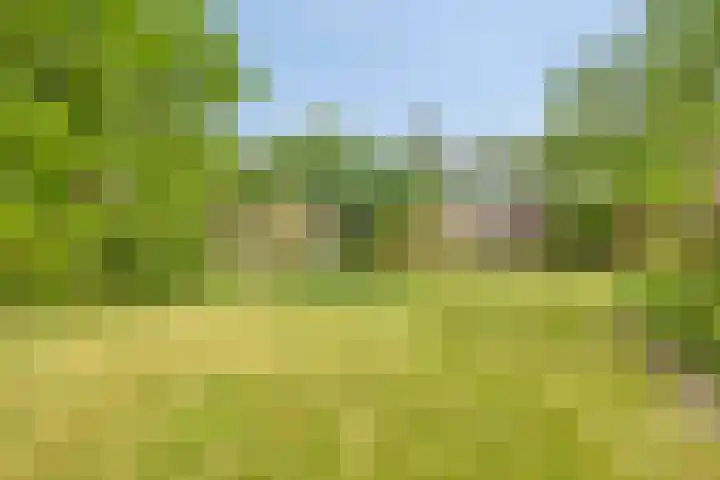 Gerard van der Lindenstraat 14 Oisterwijk thumbnail 27