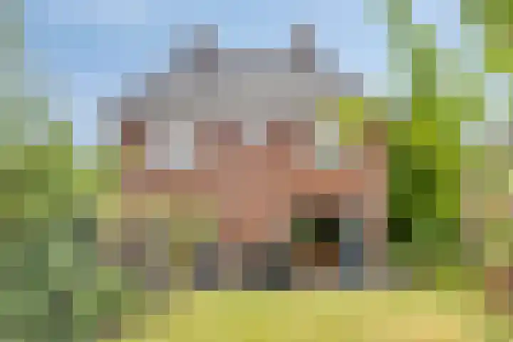 Gerard van der Lindenstraat 14 Oisterwijk thumbnail 29