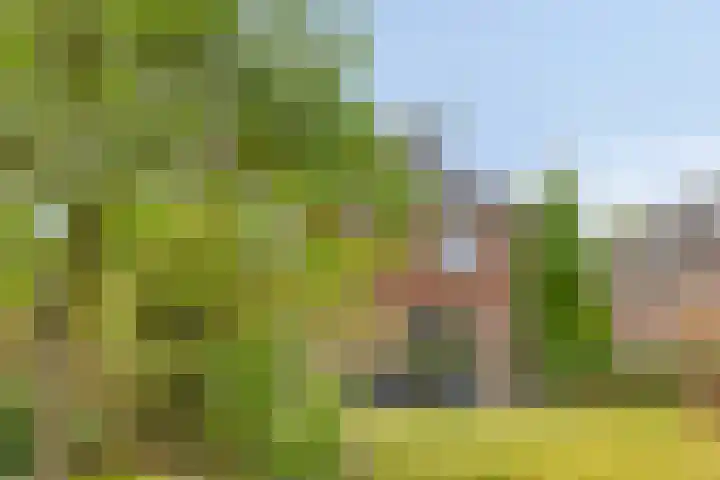 Gerard van der Lindenstraat 14 Oisterwijk thumbnail 30