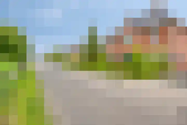 Gerard van der Lindenstraat 14 Oisterwijk thumbnail 34