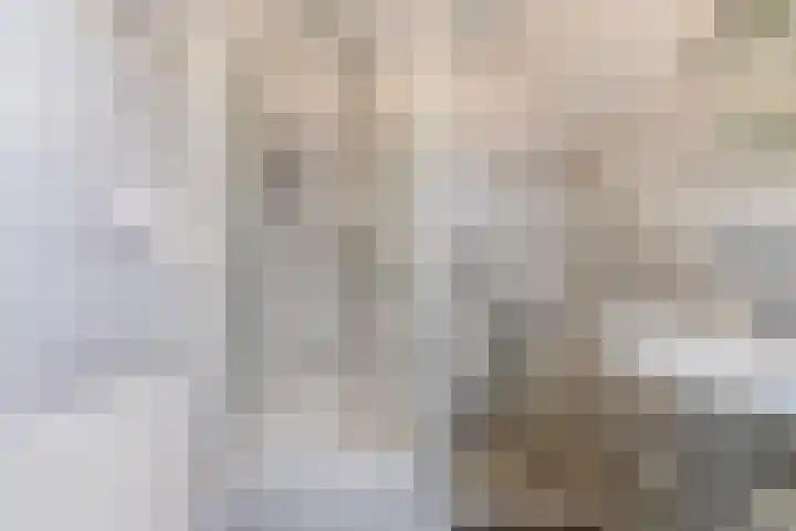 Gerard van der Lindenstraat 4 Oisterwijk thumbnail 30