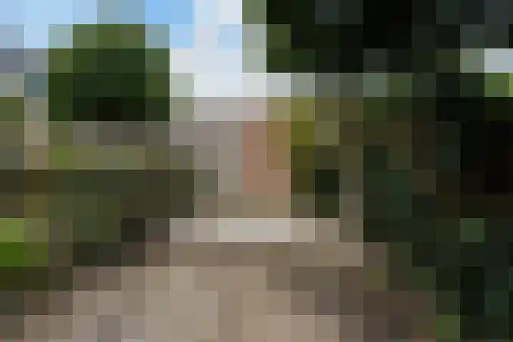 Gerard van der Lindenstraat 4 Oisterwijk thumbnail 33