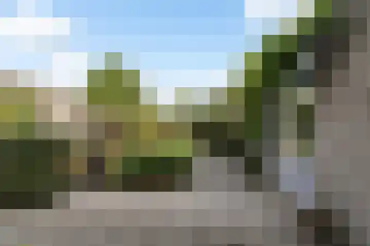 Gerard van der Lindenstraat 4 Oisterwijk thumbnail 40