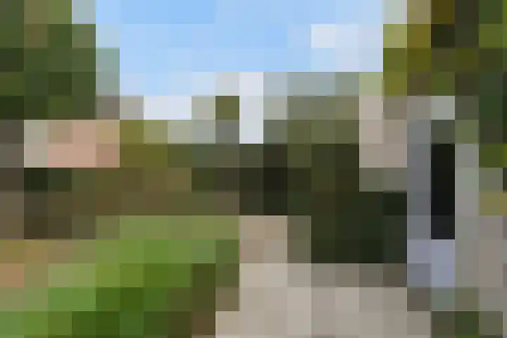 Gerard van der Lindenstraat 4 Oisterwijk thumbnail 43