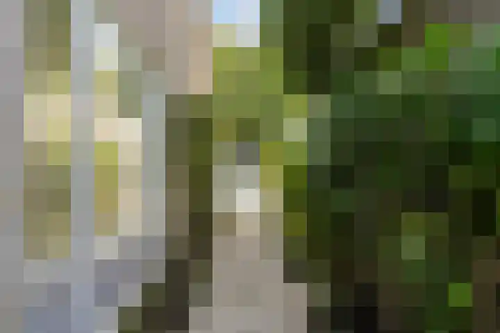 Gerard van der Lindenstraat 4 Oisterwijk thumbnail 44