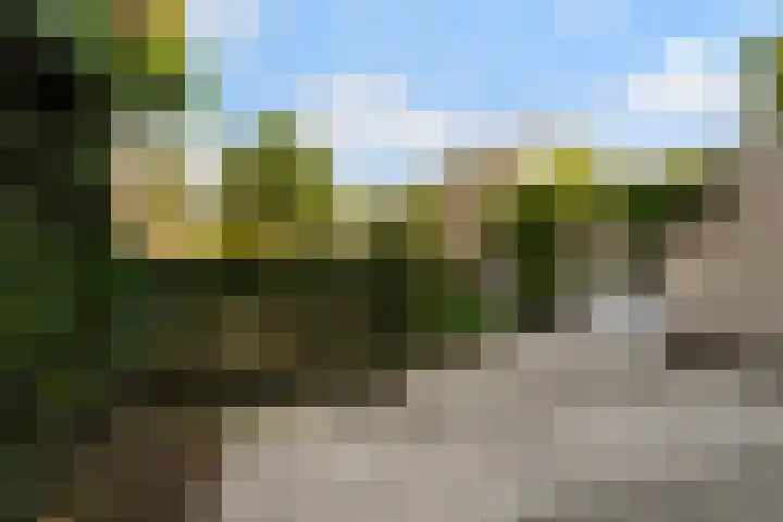 Gerard van der Lindenstraat 4 Oisterwijk thumbnail 45