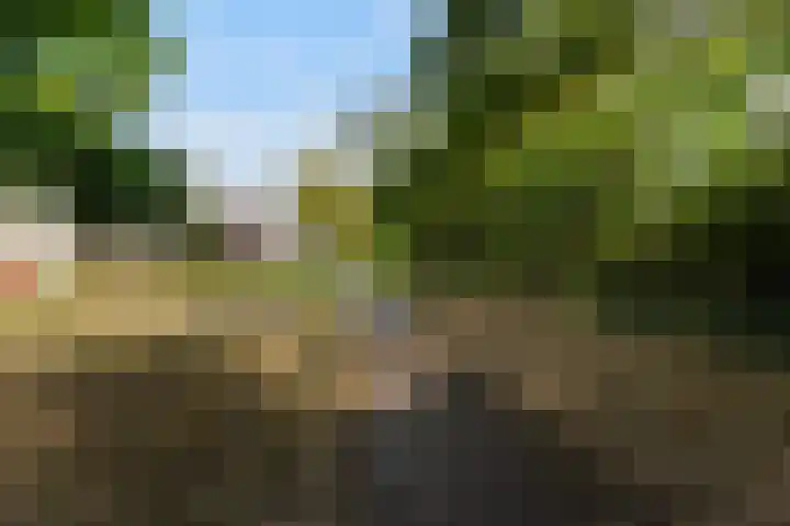 Gerard van der Lindenstraat 4 Oisterwijk thumbnail 47