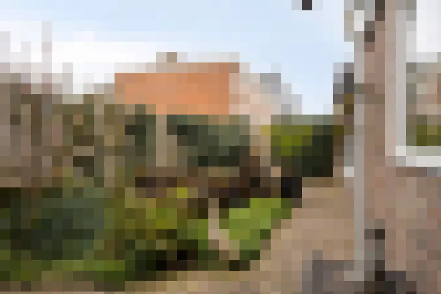 Gerard van Dinterstraat 24 Rosmalen thumbnail 22