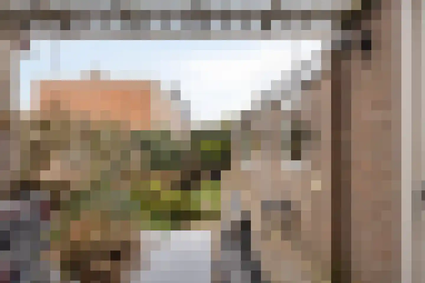 Gerard van Dinterstraat 24 Rosmalen thumbnail 27