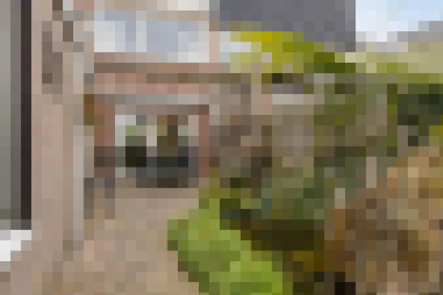 Gerard van Dinterstraat 24 Rosmalen thumbnail 28