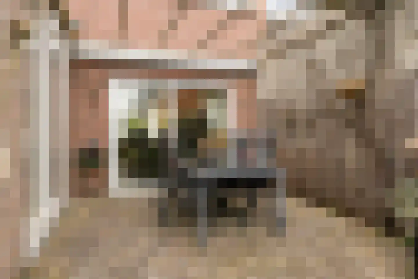 Gerard van Dinterstraat 24 Rosmalen thumbnail 29