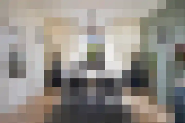Gerard van Dinterstraat 24 Rosmalen thumbnail 6