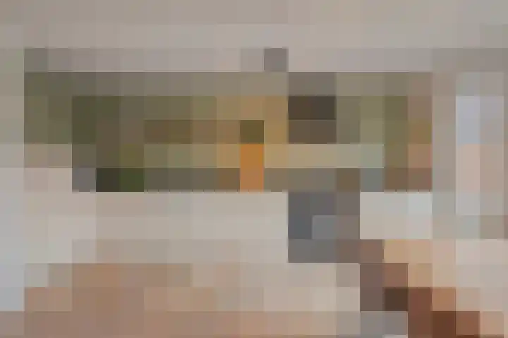 Gerard van Dinterstraat 39 Rosmalen thumbnail 10