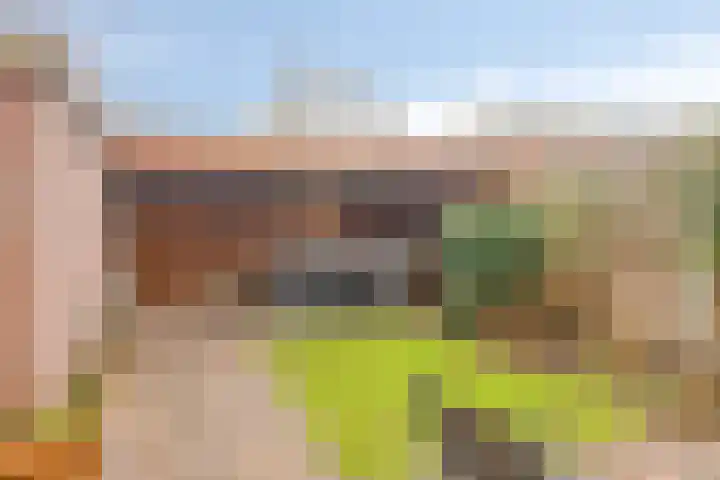 Gerard van Dinterstraat 39 Rosmalen thumbnail 29